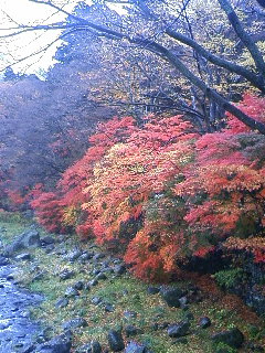 塩原温泉