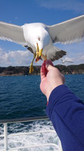 浄土ヶ浜の遊覧船にて。ナイスキャッチ！！　ってか、よく見たらヨダレたらしてる！